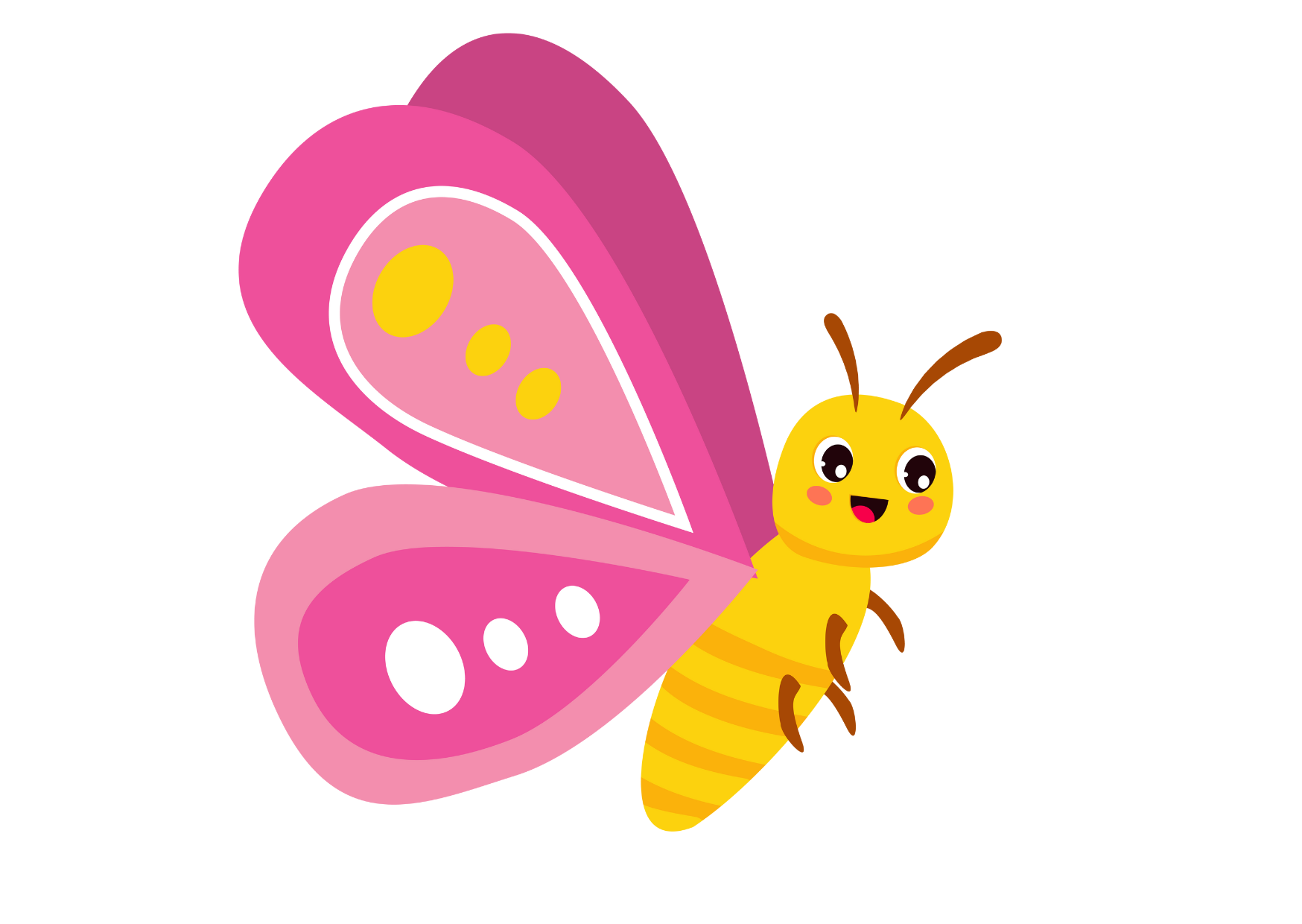 Motylki
